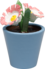 DN3, Flowering Plant